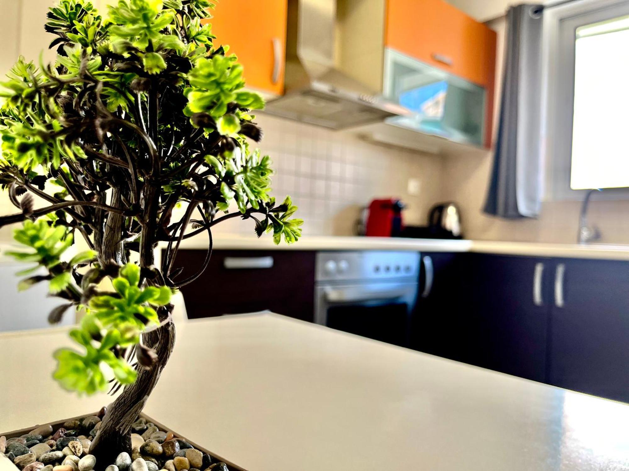 Elvita 2 Apartmán Atény